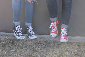 Meet your Posher, Molly